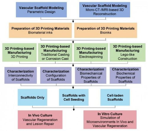 哈工大3d打印用于血管再生的组织工程支架