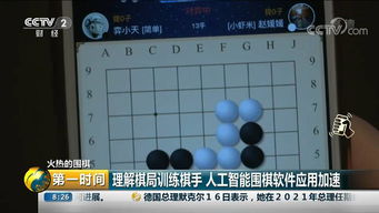 解析棋局训练棋手 人工智能助推围棋发展
