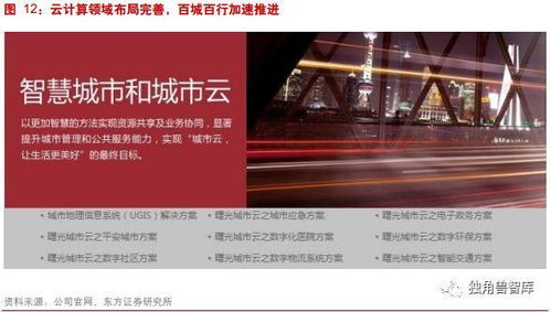人工智能芯片弯道超车机遇 构建 ai 芯片生态,抢占 ai 产业高点